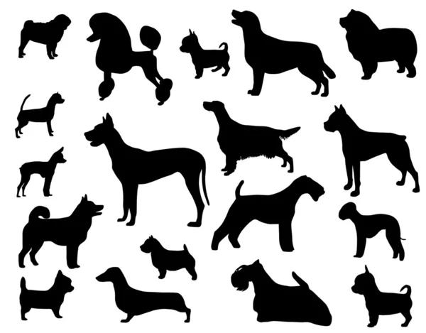 Hundraser — Stock vektor