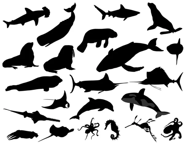 Animales marinos — Archivo Imágenes Vectoriales