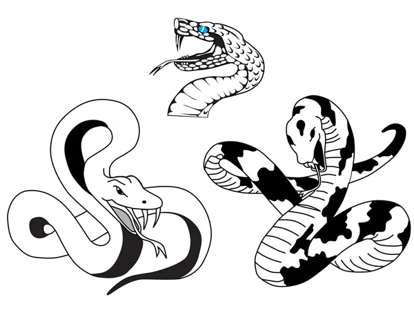 Snake tattoo — Stock Vector