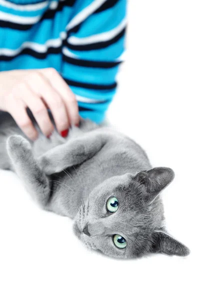 Догляд за тілом кішка — стокове фото