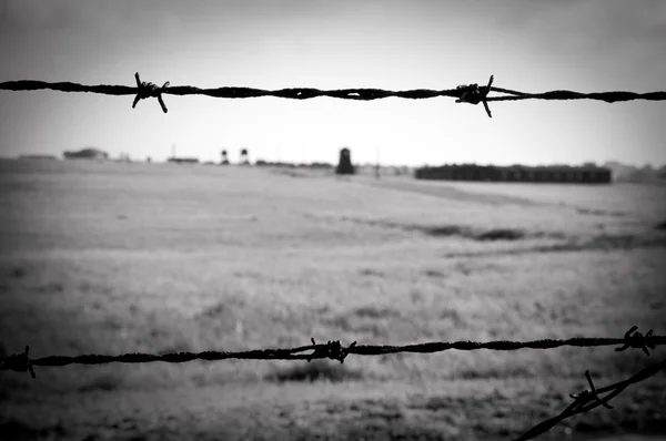 Taggtrådsstängsel i koncentrationsläger — Stockfoto