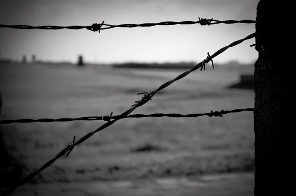 Toplama kampı dikenli tel çit — Stok fotoğraf