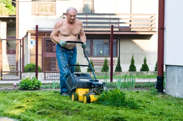 Man maait het gras met de maaier — Stockfoto