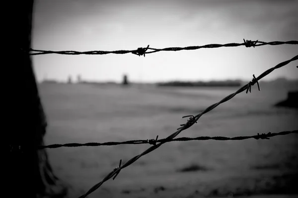 Cerca de alambre de púas en el campo de concentración —  Fotos de Stock