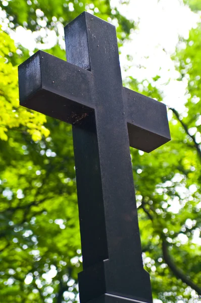Черный деревянный крест на фоне зеленых растений — стоковое фото