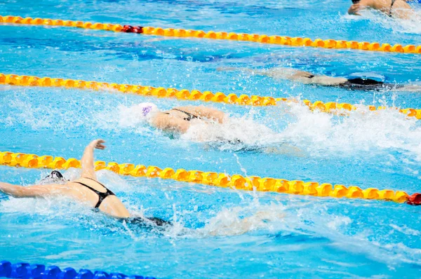 Svømmere som svømmer i et basseng – stockfoto