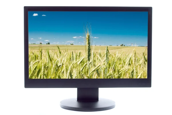 Zelená Pšenice Zemědělské Oblasti Televizi Sreen — Stock fotografie