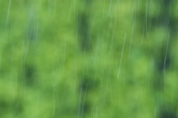 Gocce Pioggia Cadono Sfondo Verde Sfocato — Foto Stock