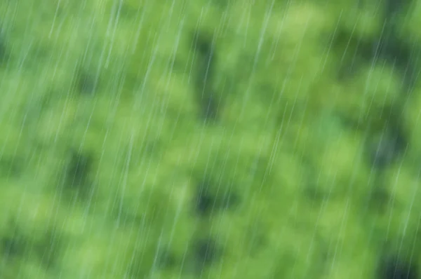 Gotas de lluvia cayendo sobre fondo verde borroso — Foto de Stock