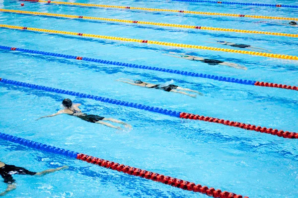 Пловцы плавают в бассейне — стоковое фото