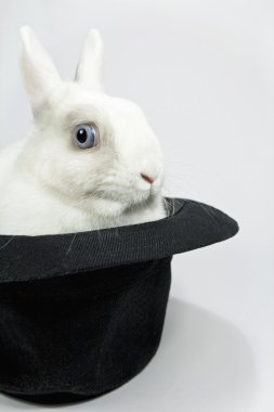 Rabbit in the hat clipart