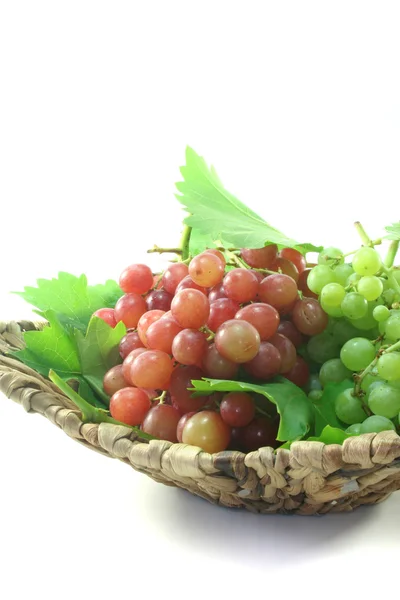Vörös és világos szőlő — Stock Fotó