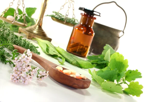 Homeopati – stockfoto