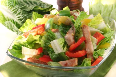 Mixed salad with strips of turkey clipart