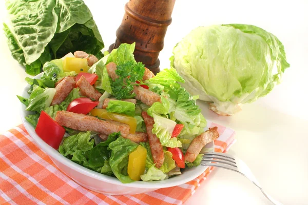 Gemengde salade met stroken van Turkije — Stockfoto