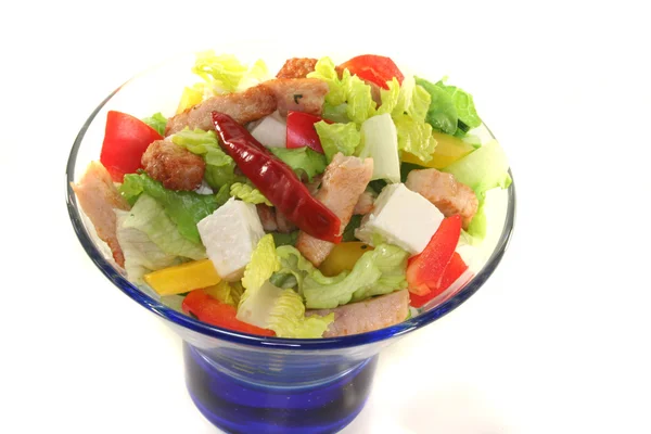Salade Mixte Avec Lanières Dinde Herbes Fraîches — Photo