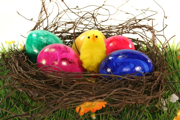 Easter basket with Easter eggs and chicks — Stock Photo, Image