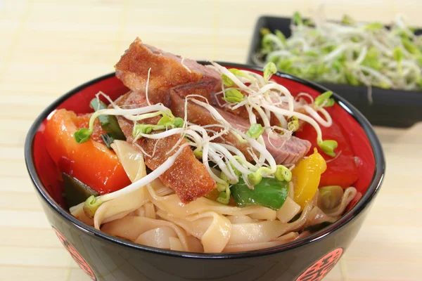 Duck Breast Fried Noodles Fresh Vegetables Radish Sprouts — Stock Photo, Image