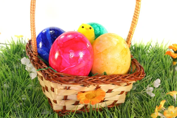 Pasen Mand Met Pasen Eieren Kuikens Een Groene Weide — Stockfoto
