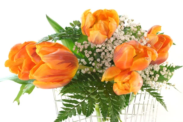 Kleurrijke Tulpen Mand Voor Een Witte Achtergrond — Stockfoto