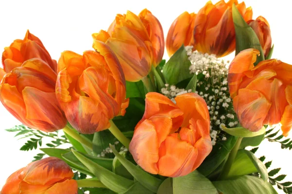 Ramo de tulipanes —  Fotos de Stock