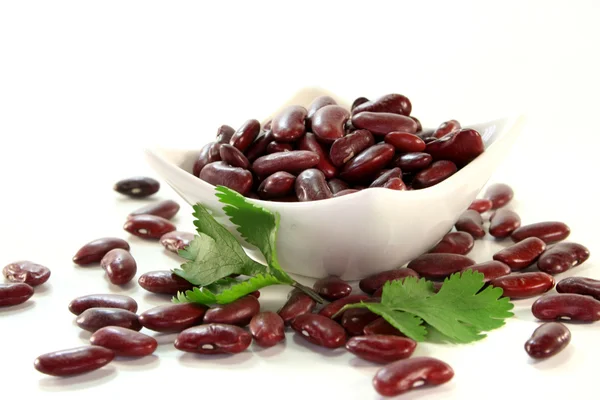 Dried Red Kidney Beans Coriander White Background — Stock Photo, Image