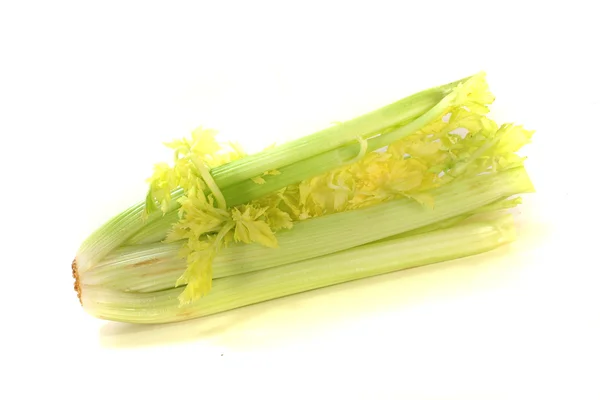 在白色背景上的新鲜 健康芹菜 — 图库照片