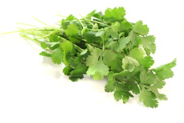 Coriander clipart