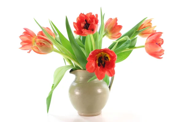 Bouquet di tulipano — Foto Stock