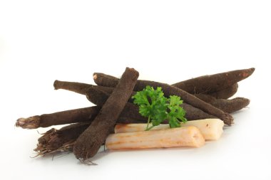 Salsify clipart