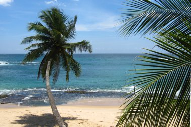 bay tangalle içinde