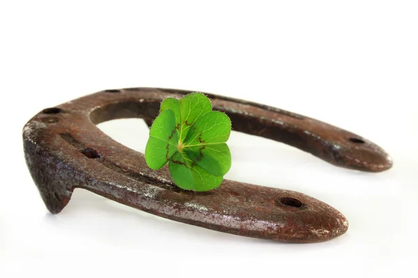 Horseshoe with lucky clover — Stock Photo, Image