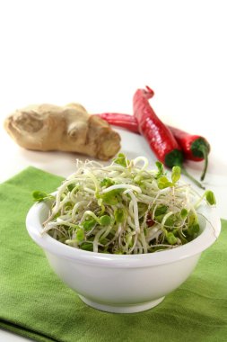 turp lahanası