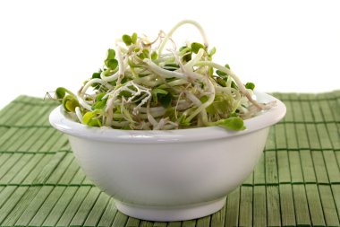 Fresh radish sprouts in a small bowl clipart