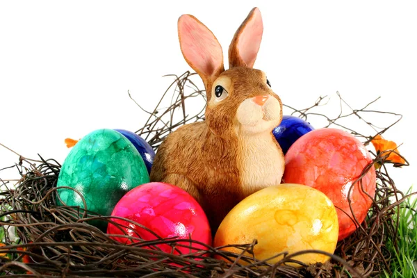 Hnízdo Kraslice Velikonoční Zajíček — Stock fotografie