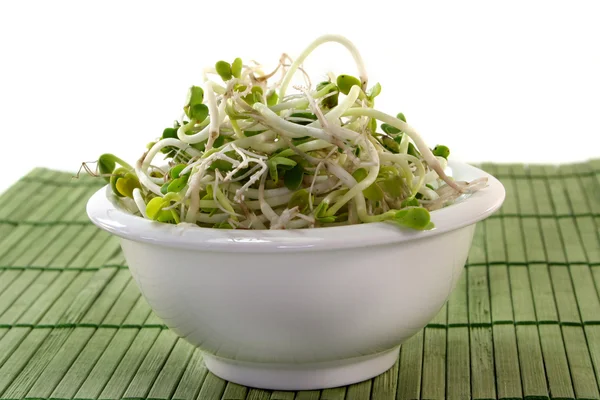 Fresh Radish Sprouts Small Bowl — Stock Photo, Image