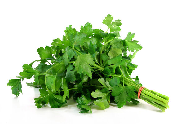 A bunch of parsley on a white background