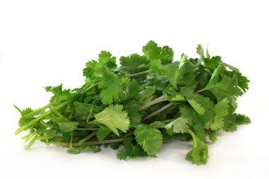 Coriander clipart