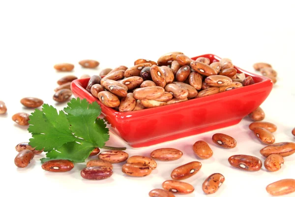 Beans Small Red Bowl — Stock Photo, Image