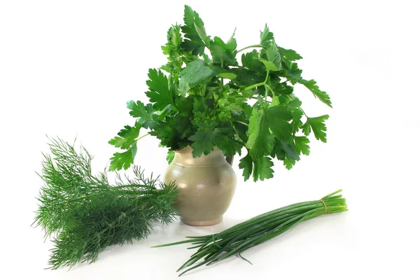 Culinary herbs — Stock Photo, Image