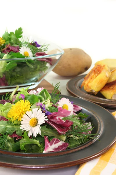 stock image Wild herb salad