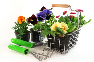 Flower Shopping clipart