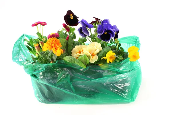 Flower Shopping — Stock Photo, Image