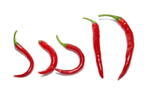 Row of red hot chili peppers — Stock Photo, Image