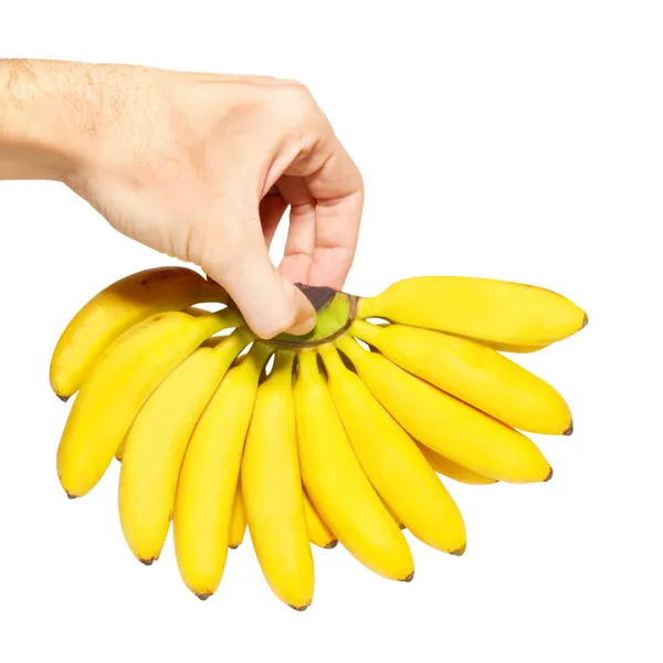 Butch de plátanos pequeños en una mano . —  Fotos de Stock