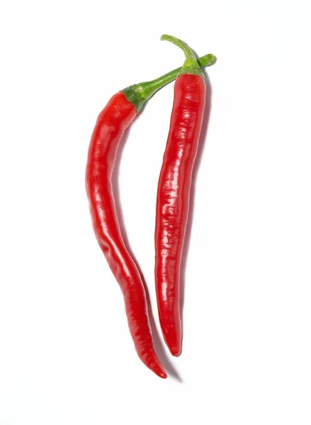 Two hot chili peppers — Stock Photo, Image