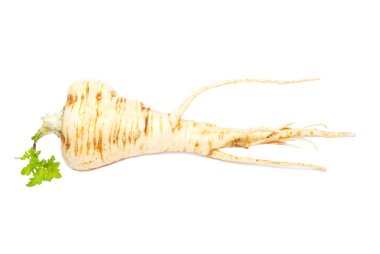 Parsnip isolated on white. clipart