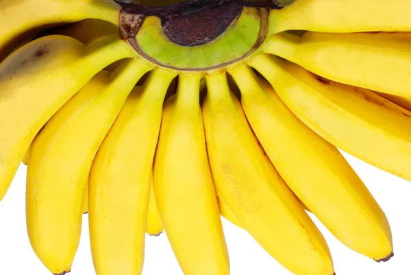 Буч из маленьких бананов . — стоковое фото