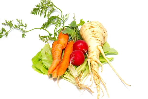 Carrots, radishes and parsnip with green lettuce isolated on wh — Stock Photo, Image