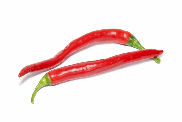 Dos chiles rojos picantes — Foto de Stock